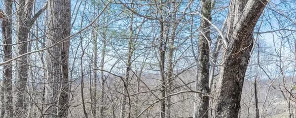 TBD RIVER BREEZE DR #2, Creston, NC 28615
