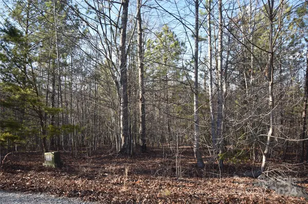 Lot 74 Tayberry DR, Nebo, NC 28761