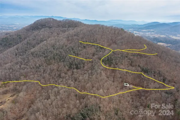 298 S Turkey Creek RD, Leicester, NC 28748