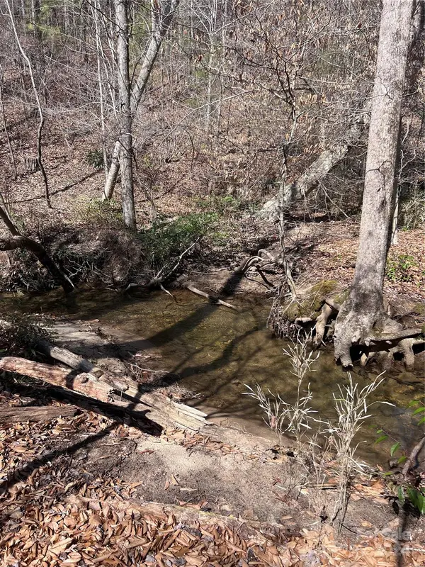 Tract 1 Holbert Cove RD, Mill Spring, NC 28756