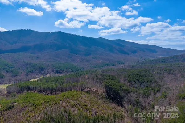 Tract 1 Holbert Cove RD, Mill Spring, NC 28756