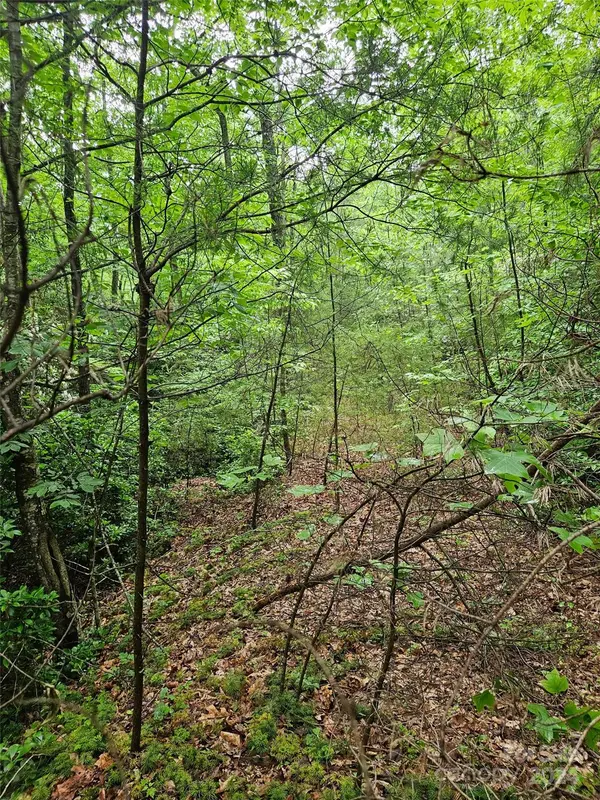 00 Brookside Pkwy #24, Lake Lure, NC 28746