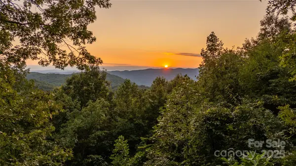 130 Piney Ridge LN, Saluda, NC 28773