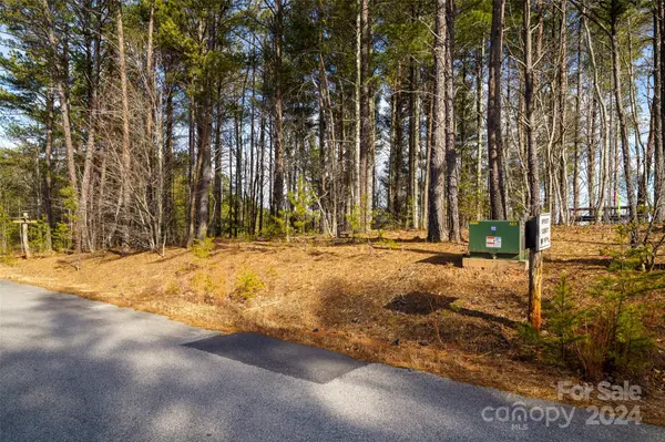 1504 Pisgah Preserve RD #6, Nebo, NC 28761