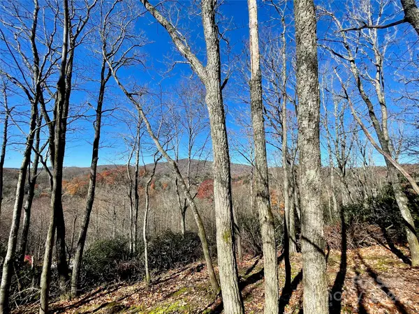 142 tanglewood TRL #142, Blowing Rock, NC 28607