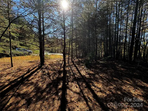44 Boulder RDG #44, Lake Lure, NC 28746
