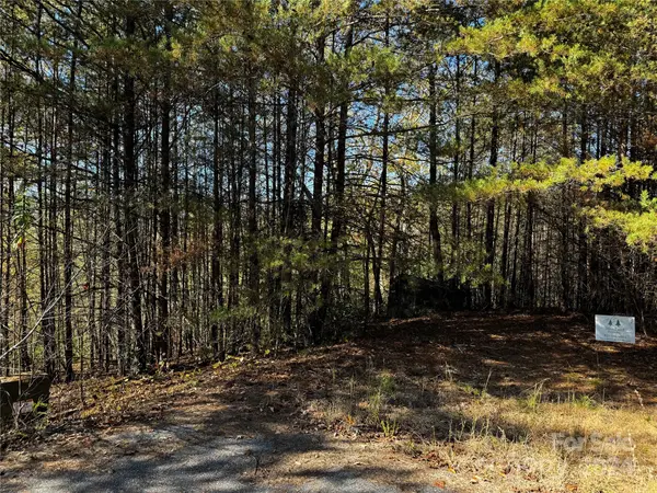 44 Boulder RDG #44, Lake Lure, NC 28746