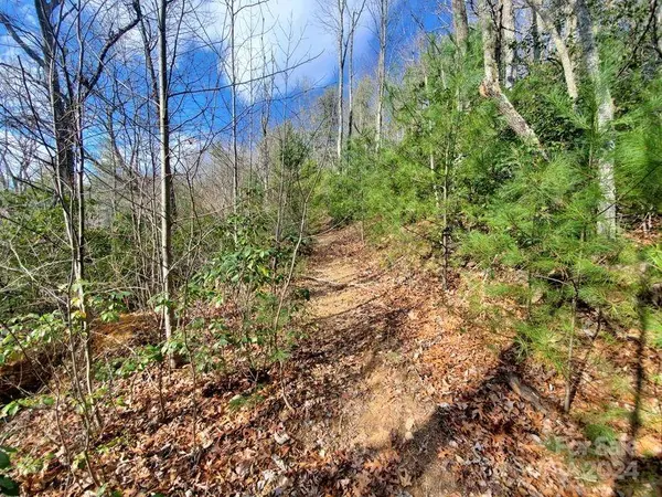 TBD Elkins RD #21, Bakersville, NC 28705