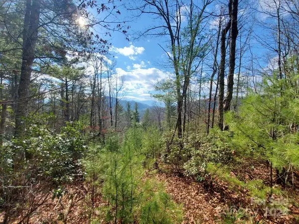 TBD Elkins RD #21, Bakersville, NC 28705