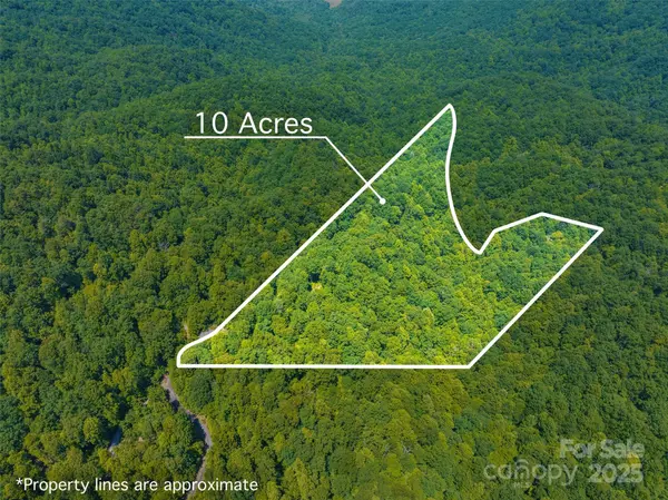 Lot 4 Council Bluff TRL, Black Mountain, NC 28711