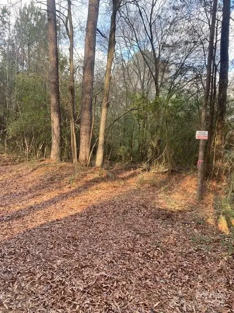 0 Dudley Church RD, Pageland, SC 29728