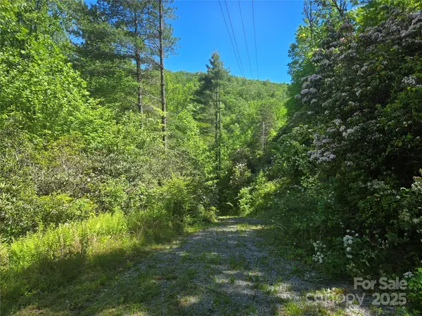 218 South Kimiko LN #Lots 35,36,37, Balsam Grove, NC 28708