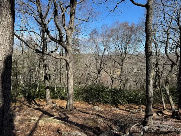 Lot 240 Thunder Wood TRL #240, Blowing Rock, NC 28605