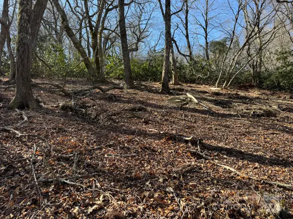 Lot 240 Thunder Wood TRL #240, Blowing Rock, NC 28605
