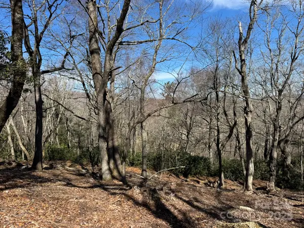 Lot 240 Thunder Wood TRL #240, Blowing Rock, NC 28605