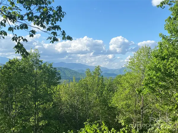 1099 Mitchell View DR #915/915A, Old Fort, NC 28762
