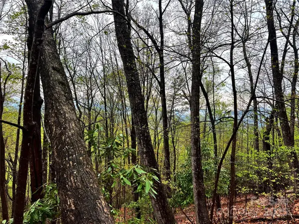 00 Scenic View DR #150, Marion, NC 28752