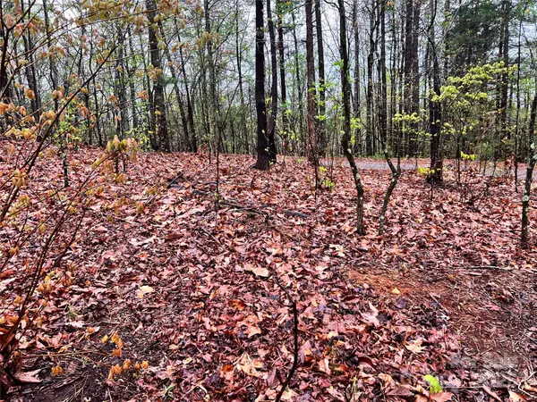 00 Scenic View DR #150, Marion, NC 28752