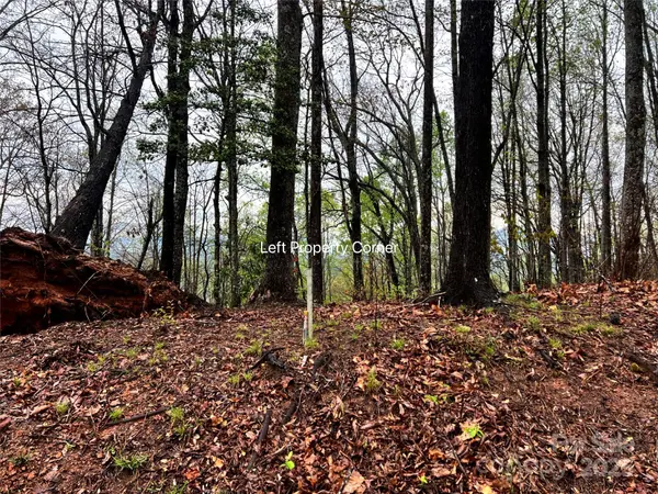 00 Scenic View DR #150, Marion, NC 28752