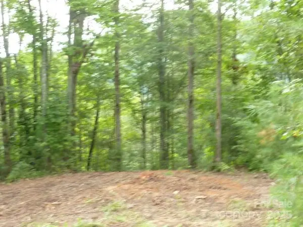 240 Thunderhead DR, Marshall, NC 28753