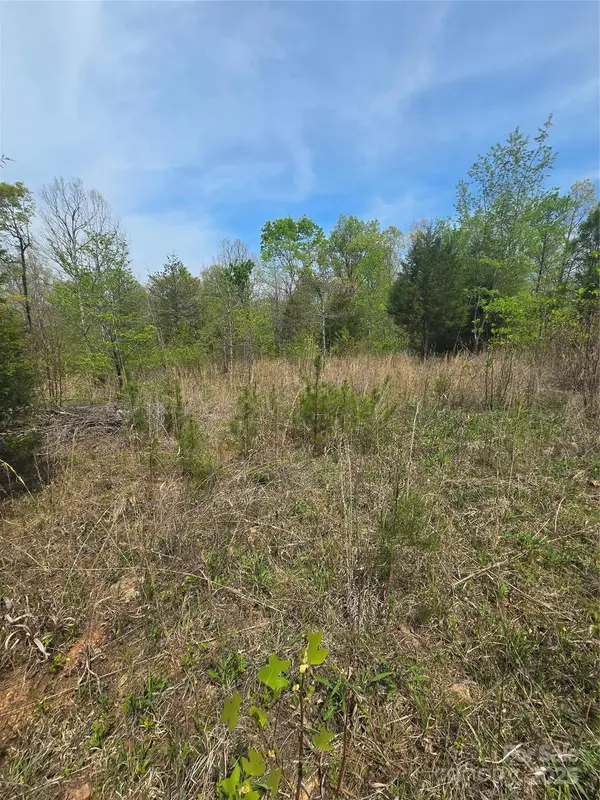 0 New Covenant WAY, Ellenboro, NC 28040