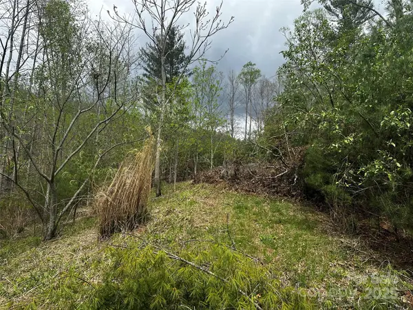 00 Ashland mountain RD, Bakersville, NC 28705