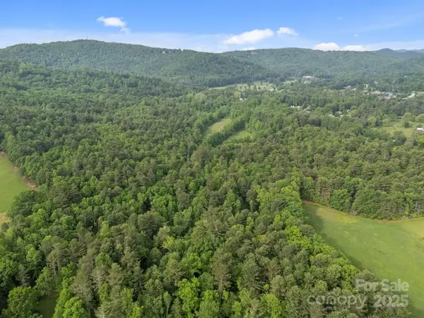 000 Red Fox LN #19, Flat Rock, NC 28731