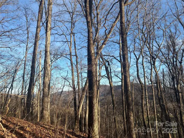 TBD Upward WAY #236 & 237, Waynesville, NC 28785