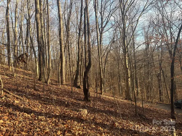 TBD Upward WAY #236 & 237, Waynesville, NC 28785