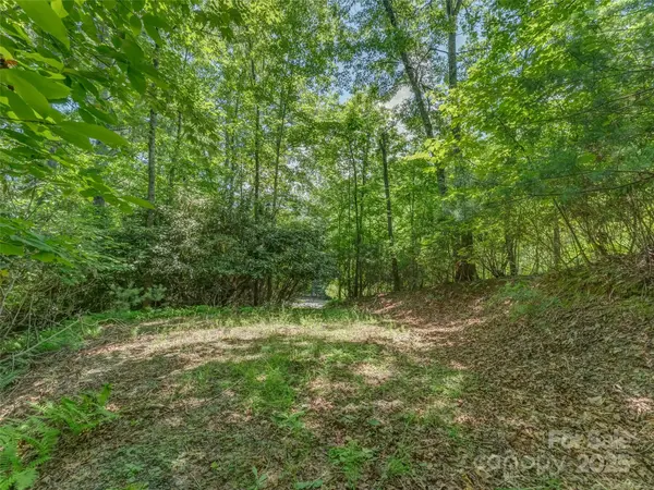 0000 Newcastle RD #53, Brevard, NC 28712