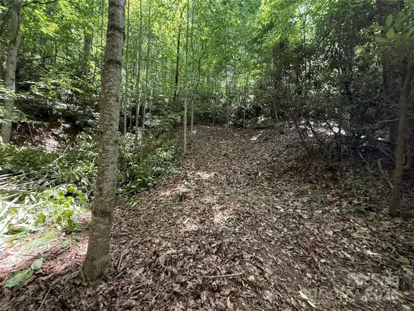 25 Fairview Pointe DR, Fairview, NC 28730