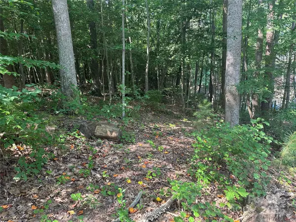 00 Rivendell RD, Denver, NC 28037