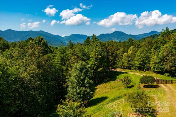 81 Garnet DR, Leicester, NC 28748