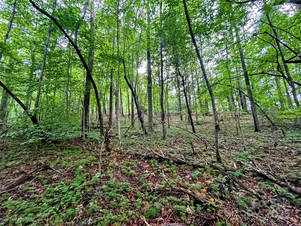 Lot 3 Azalea WAY, Saluda, NC 28773