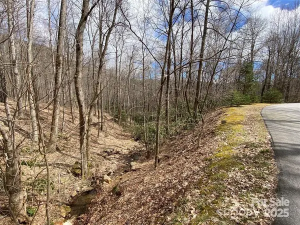 29 Wood Haven LN #209, Black Mountain, NC 28711