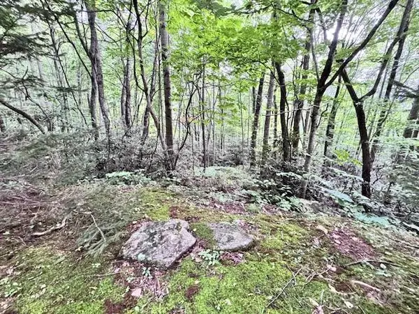 29 Wood Haven LN #209, Black Mountain, NC 28711