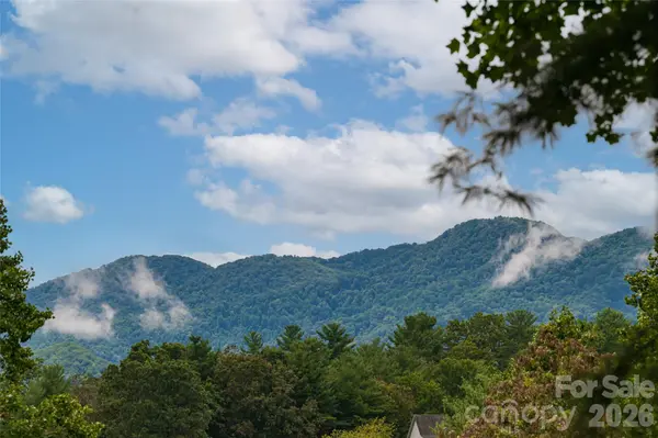 427 Shadowwood DR, Leicester, NC 28748