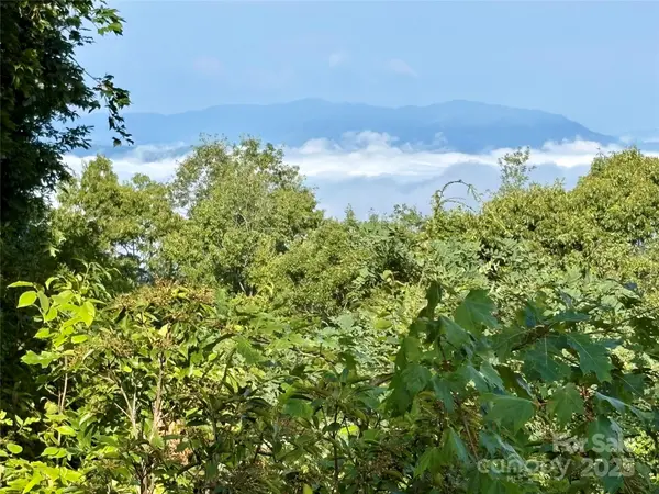 81 Owle VW, Bryson City, NC 28713