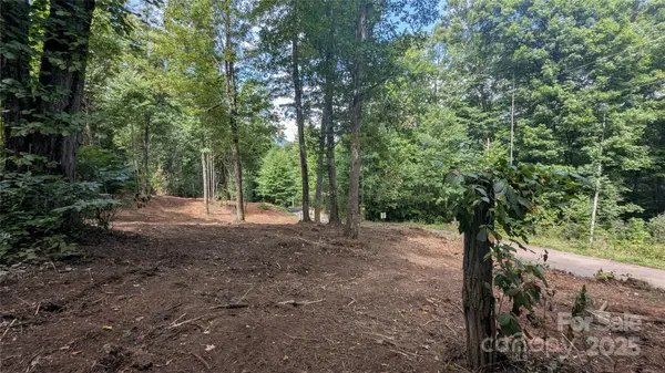 00 Apple Tree CT #1, Waynesville, NC 28786