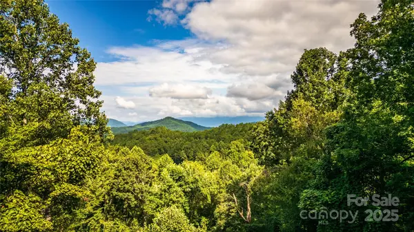310 Moonlight DR, Bryson City, NC 28713
