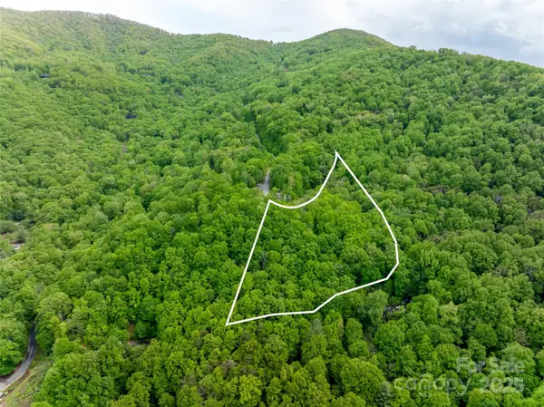 1111 Elm Tree LN, Swannanoa, NC 28778