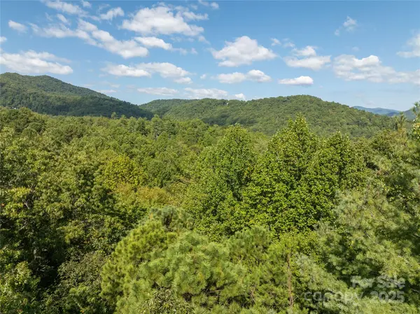 tbd Old Yellow Branch RD, Robbinsville, NC 28771