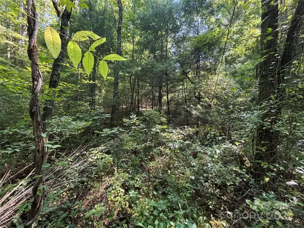 tbd Old Yellow Branch RD, Robbinsville, NC 28771