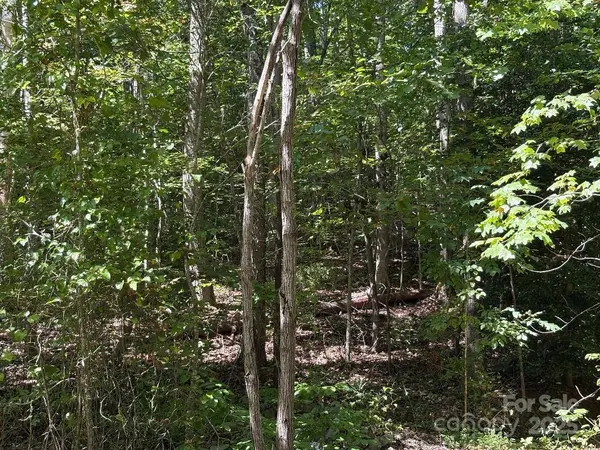 Lot 119 Trail Ridge DR, Marion, NC 28752