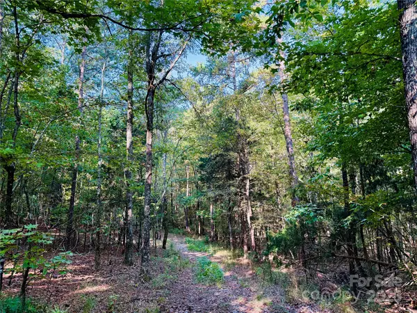 1123 Forneyville RD,  York,  SC 29745
