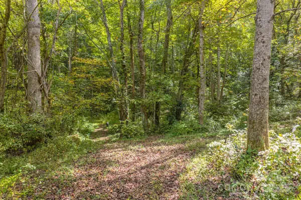 170 Midnight Sun LN, Old Fort, NC 28762