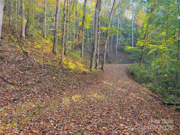 9999 Mountainside DR, Bryson City, NC 28713