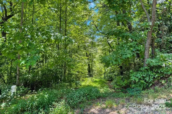 144 Galax DR #T-42, Black Mountain, NC 28711