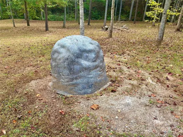 649 Fire Tower RD, Bostic, NC 28018