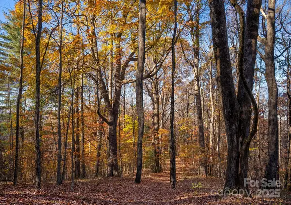Lot 342 Severy LN #342-A, Brevard, NC 28712